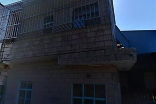 燕諾安 新燕服裝廠的匠心傳承與品牌創新之路